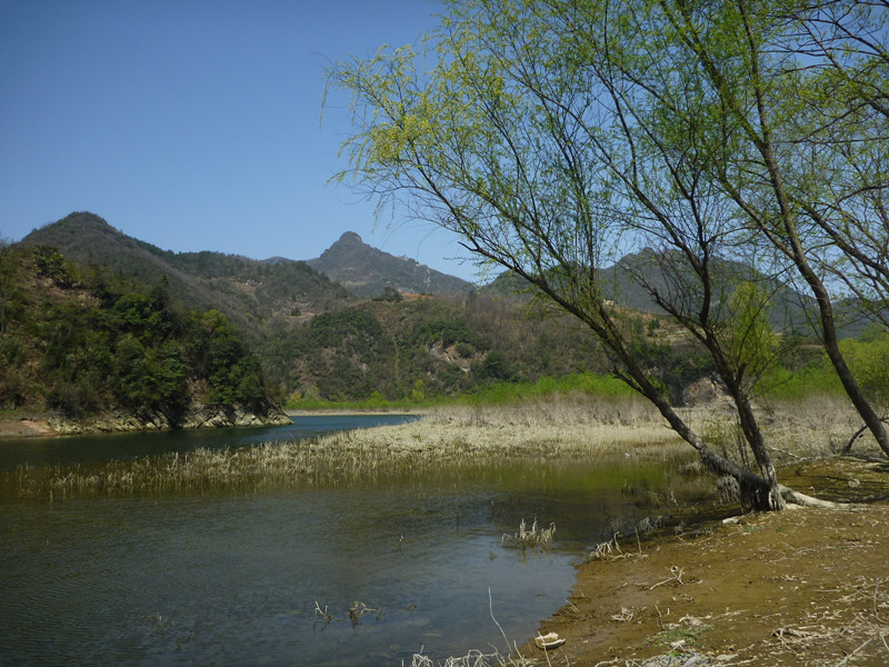 p1100928_.jpg