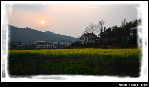  030_conew1.jpg