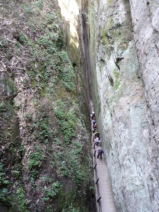 p1020991.jpg