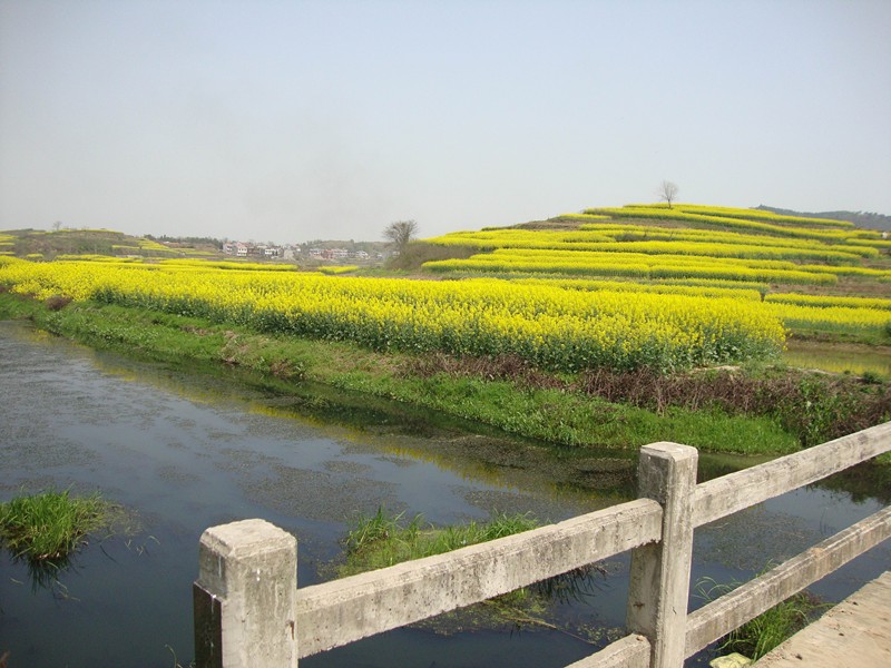 dsc07813_.jpg