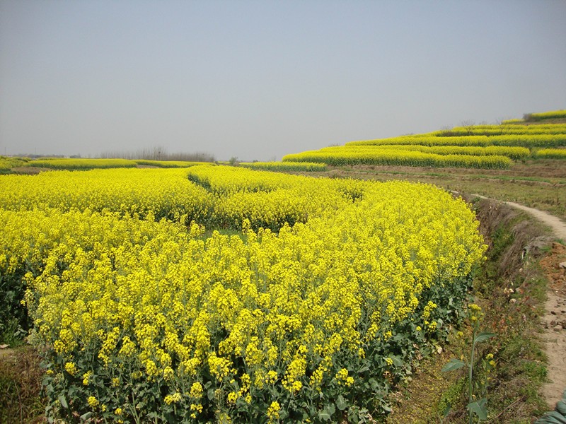 dsc07820_.jpg