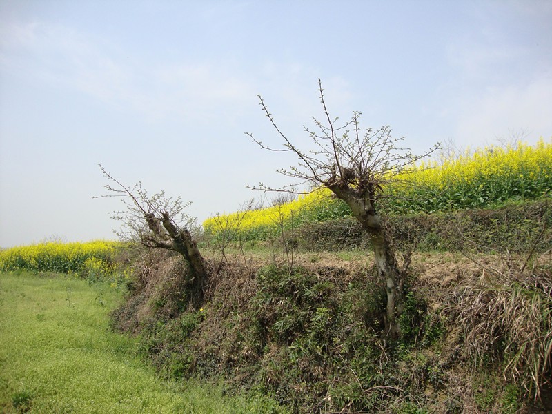 dsc07834_.jpg
