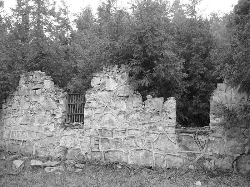 dsc07915_.jpg
