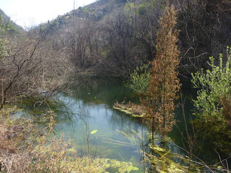 p1110026_.jpg