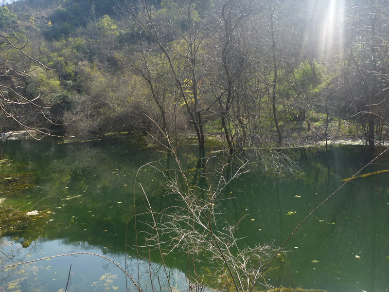 p1110028_.jpg