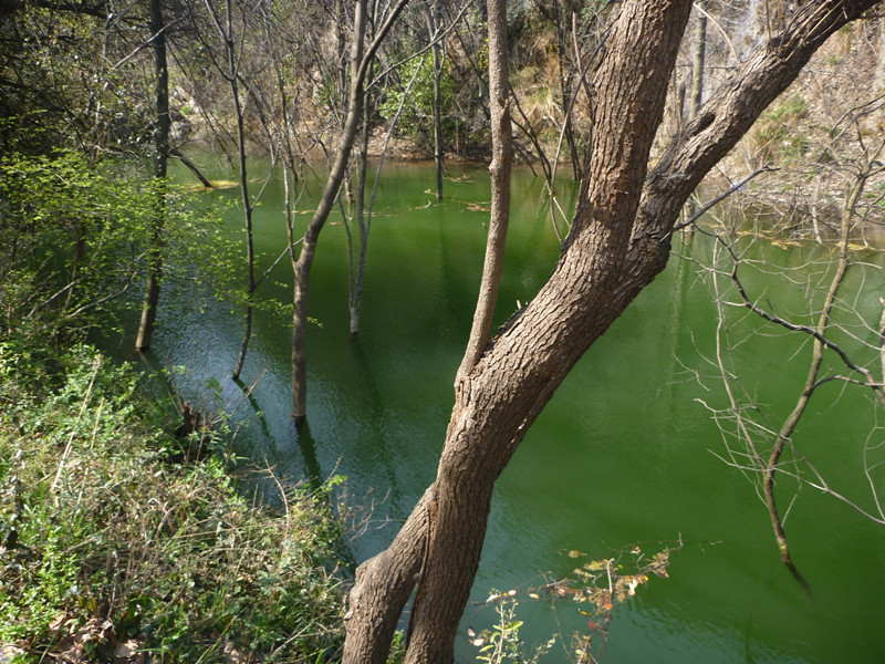 p1110023_.jpg