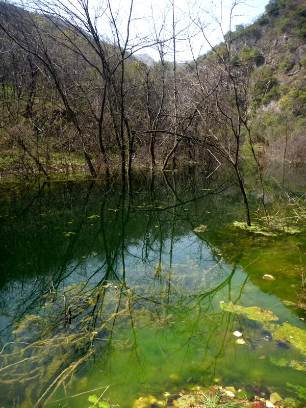 p1110016_.jpg