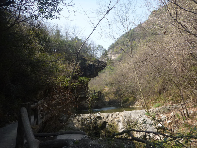 p1110014_.jpg