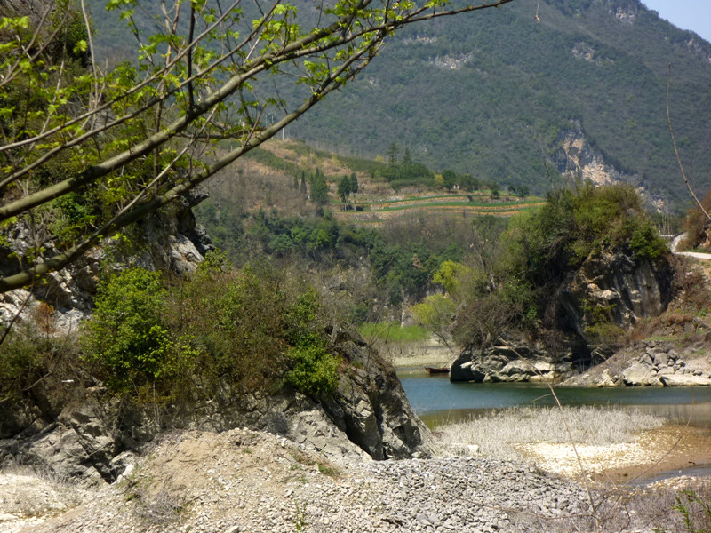 p1100962_.jpg