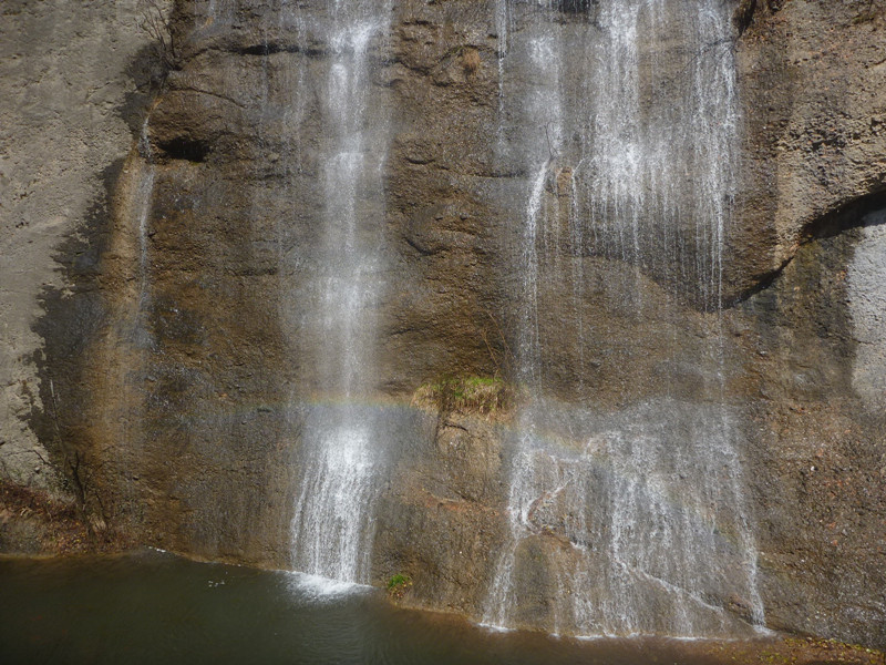 p1100985_.jpg