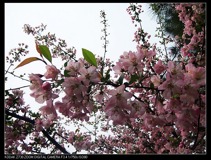 Ƭ 008.jpg