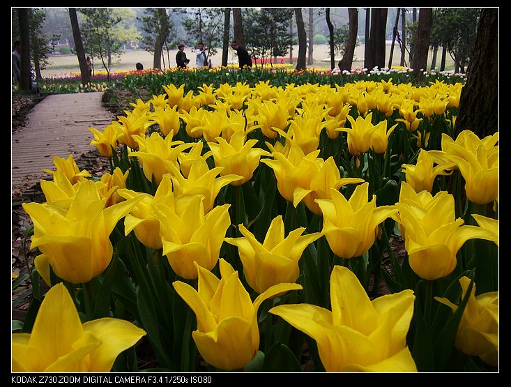 Ƭ 015.jpg