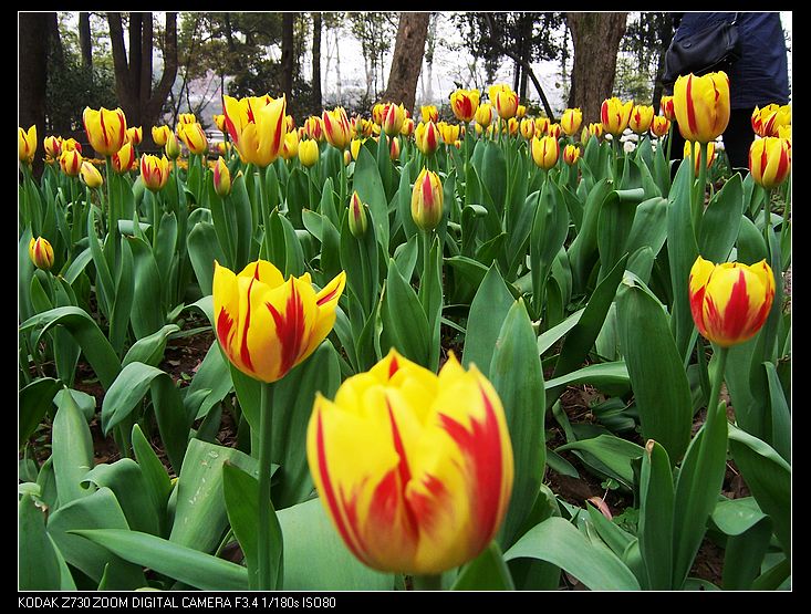 Ƭ 019.jpg