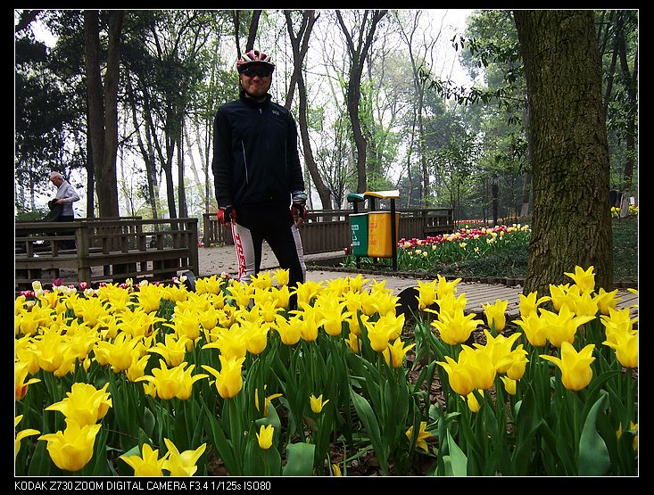 Ƭ 016.jpg