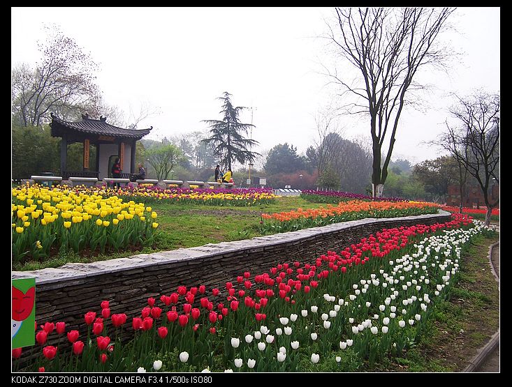 Ƭ 026.jpg