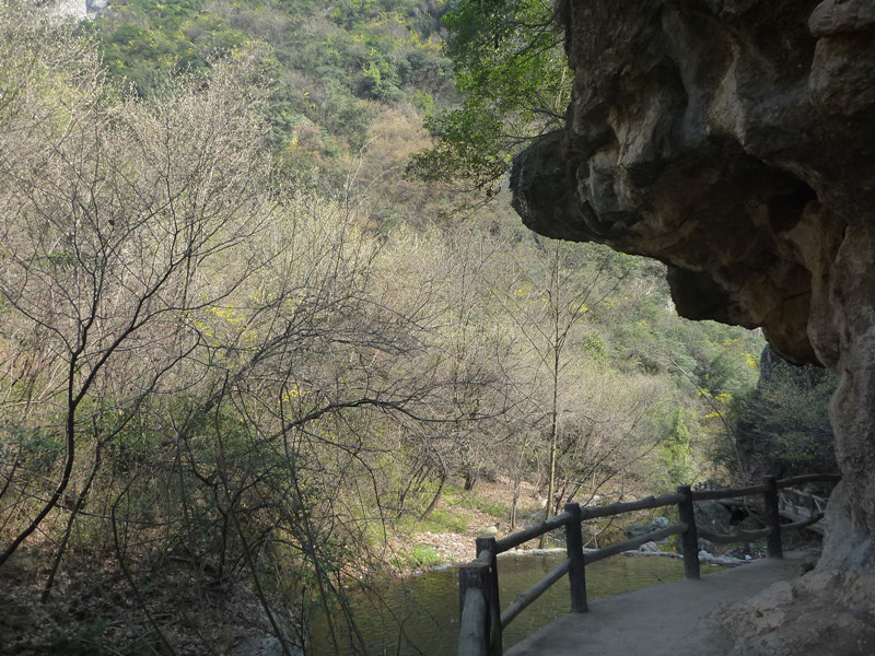 p1110029_.jpg