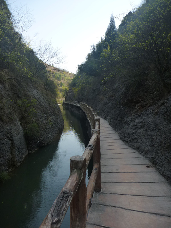 p1110044_.jpg