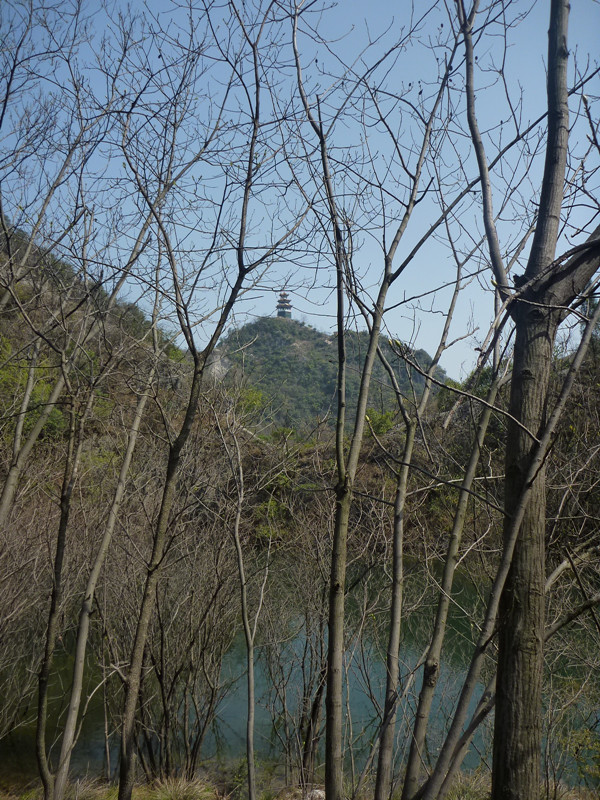 p1110020_.jpg