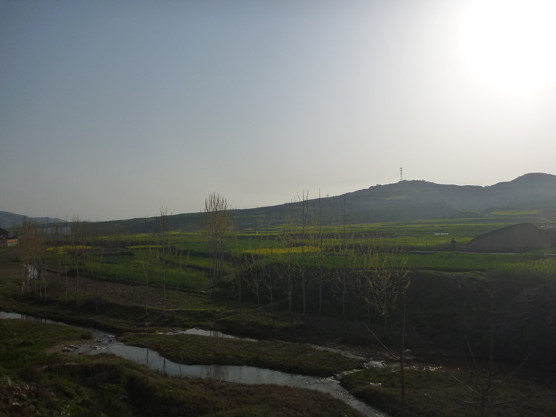 p1110054_.jpg