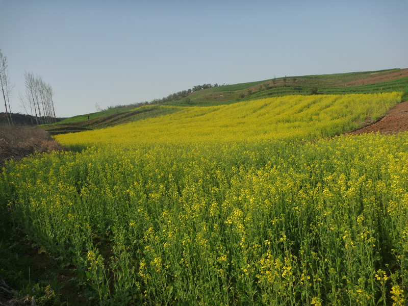 p1110059_.jpg