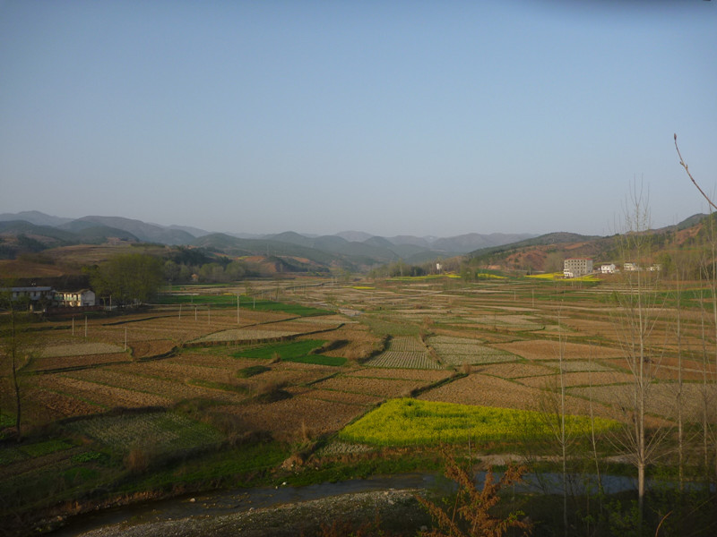 p1110068_.jpg