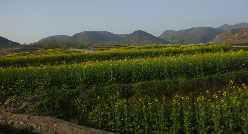 p1110067_.jpg