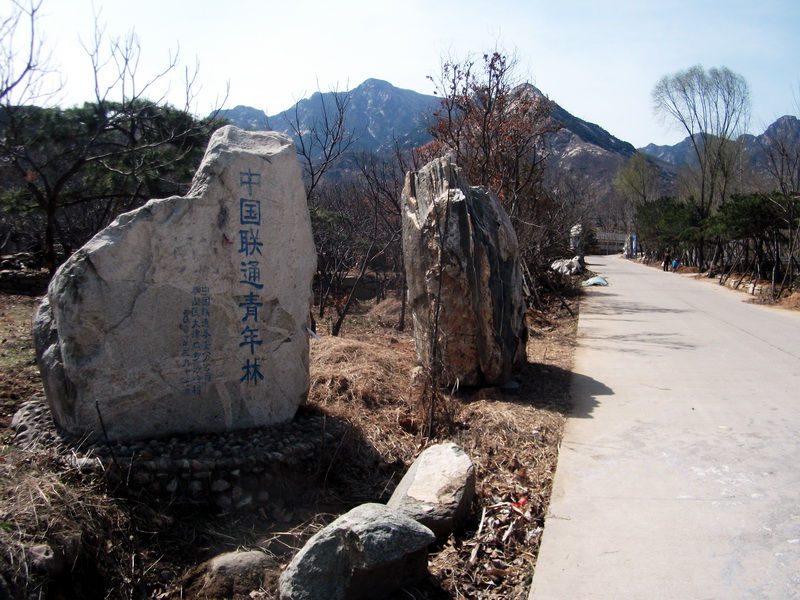 dscf0101.jpg