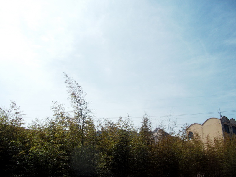 dscf0106.jpg