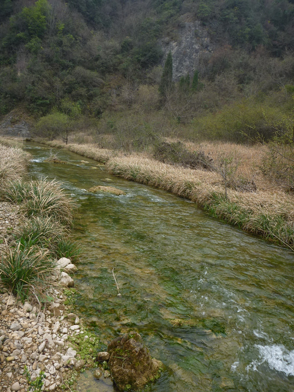 p1110077_.jpg