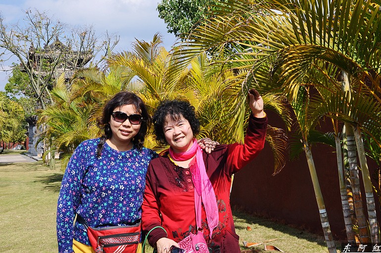 dsc_0245.jpg