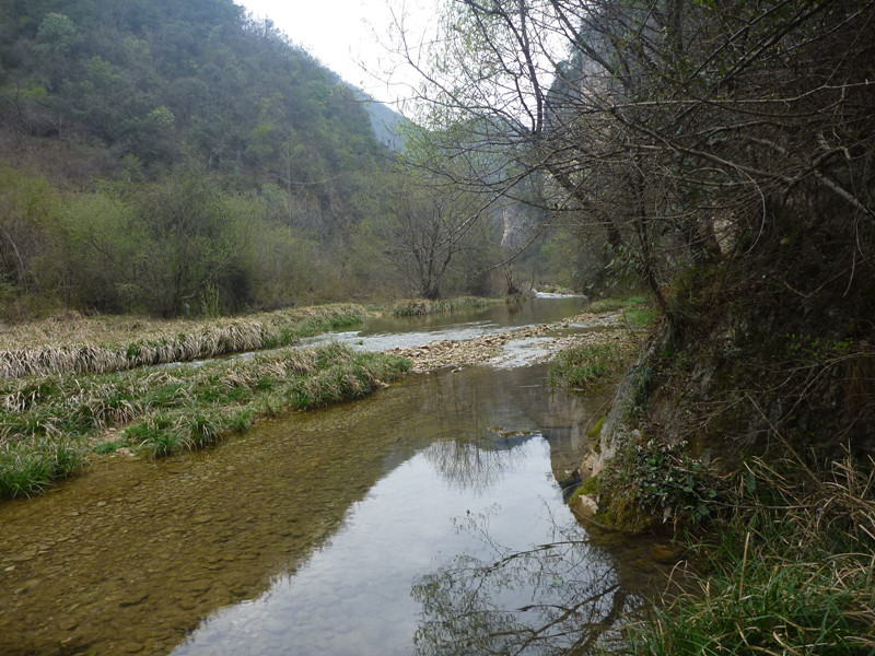 p1110079_.jpg