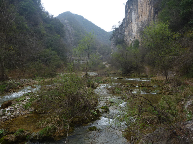 p1110080_.jpg