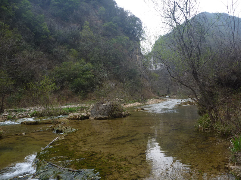 p1110081_.jpg