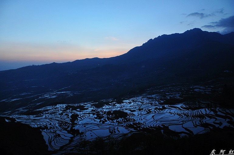 dsc_0851.jpg