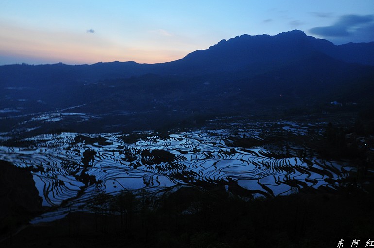 dsc_0855.jpg