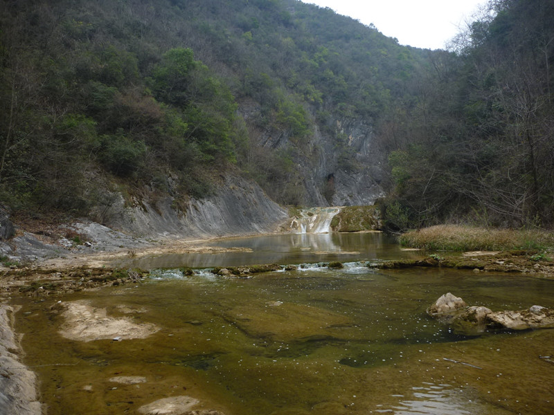 p1110089_.jpg