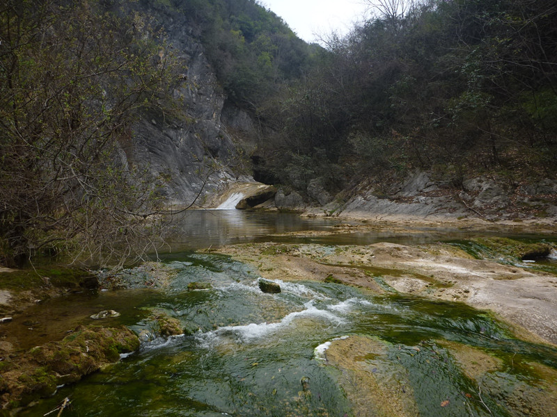p1110092_.jpg