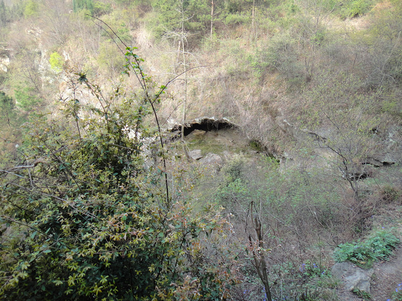 dsc00426_.jpg