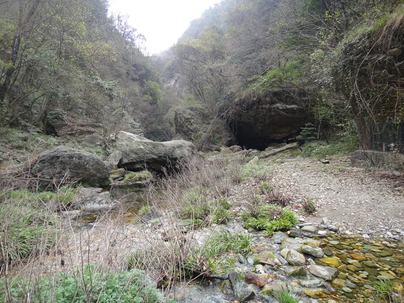 dsc00430_.jpg