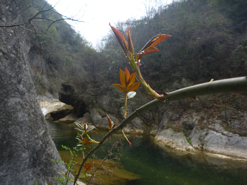 p1110096_.jpg