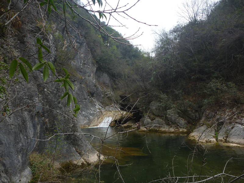 p1110095_.jpg