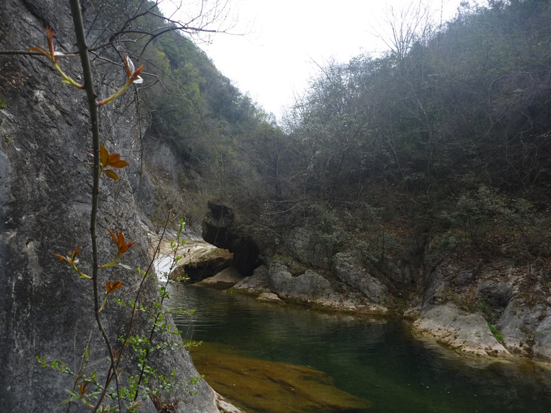 p1110097_.jpg