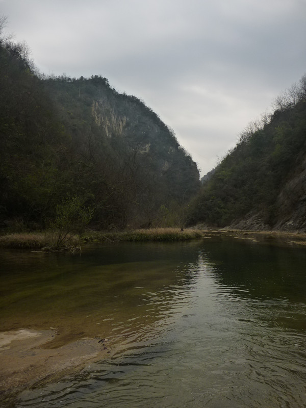 p1110099_.jpg