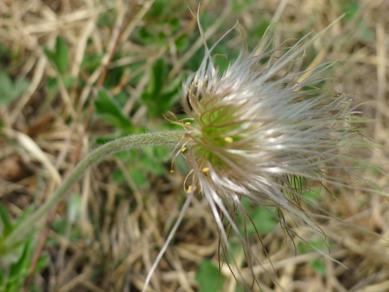 p1210721.jpg