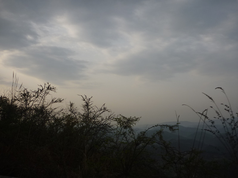 p1110071_.jpg