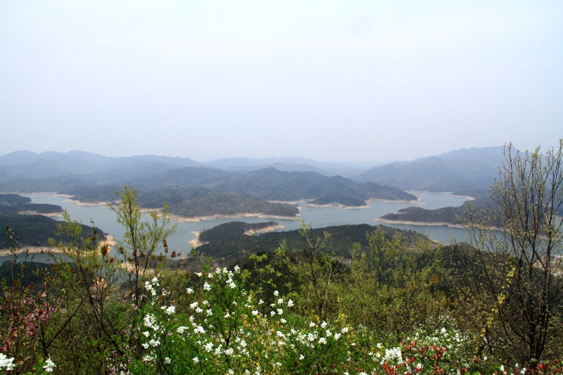 conew_img_4814.jpg