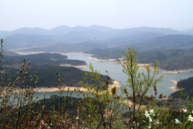 conew_img_4813.jpg