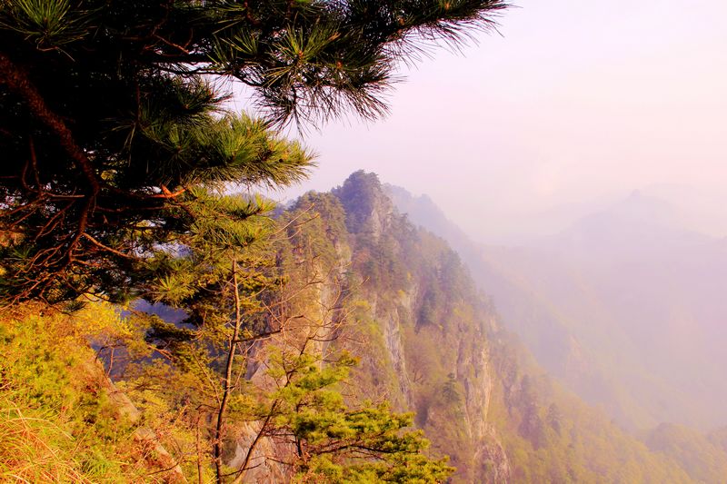 _mg_7066.jpg