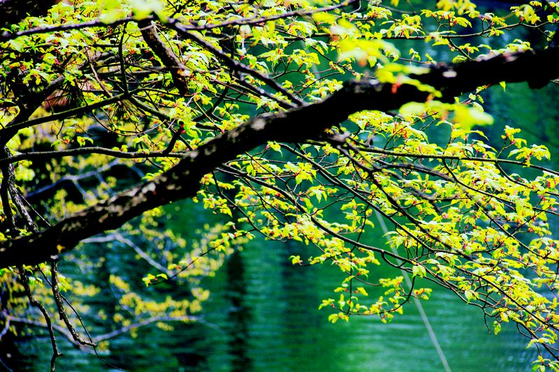 _mg_7464.jpg