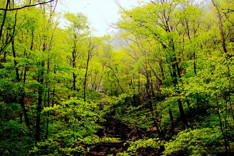 _mg_7603.jpg